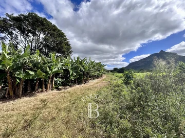 Agricultural Land