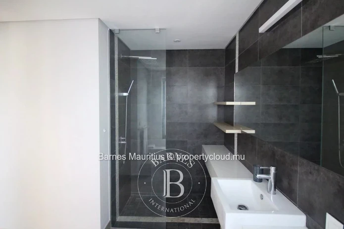 MONT CHOISY - Penthouse 5 Minutes from the Beach - 2 Bedrooms