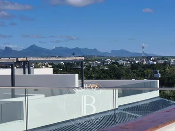 3 Bedroom Penthouse