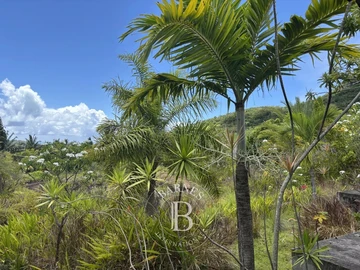 Residential Land