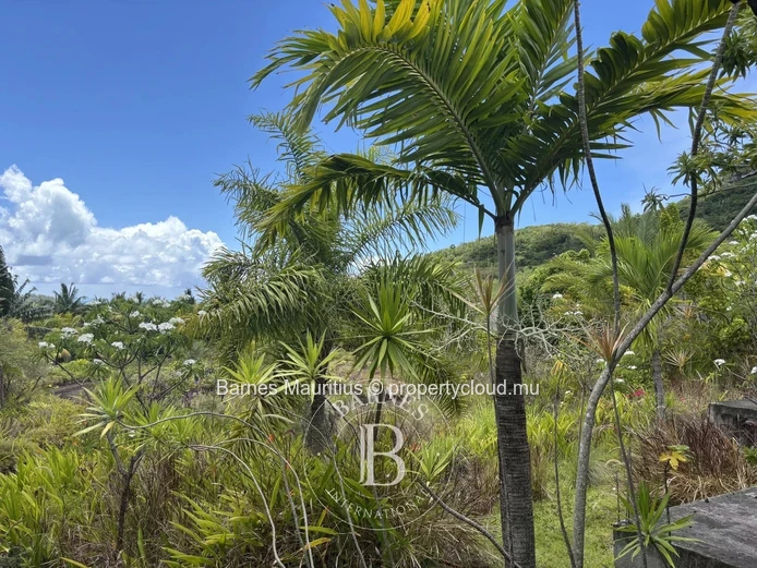 ANSE JONCHÉE - Terrain résidentiel et agricole - 46244 m2
