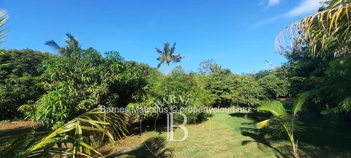 Daruty Forest- Plot For Sale.