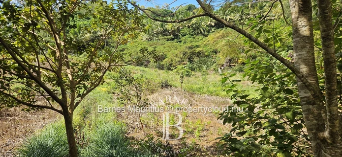 2 Bras - Agricultural Land - 31 Acres