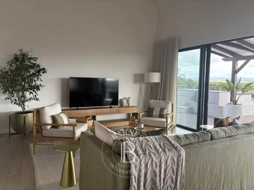 3 Bedroom Penthouse