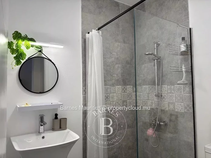 PHOENIX - Charming brand-new 1-bedroom apartment for rent.