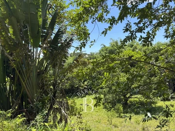 Agricultural Land
