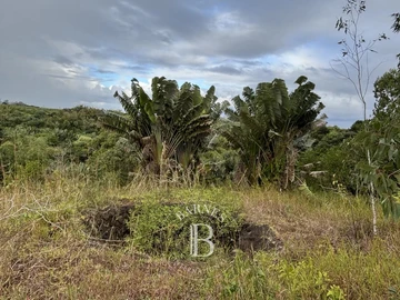 Agricultural Land