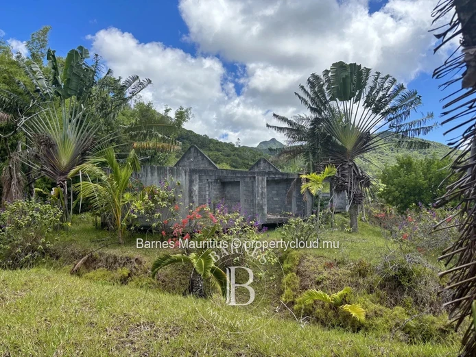 ANSE JONCHÉE - Terrain résidentiel et agricole - 46244 m2