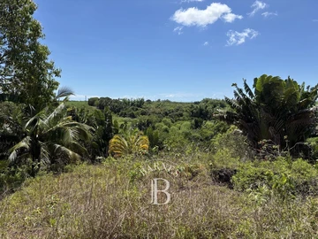 Agricultural Land