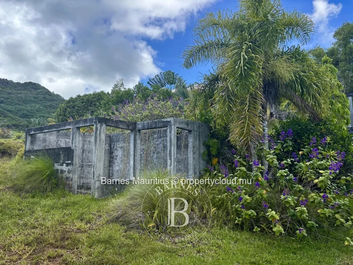 ANSE JONCHÉE - Terrain résidentiel et agricole - 46244 m2