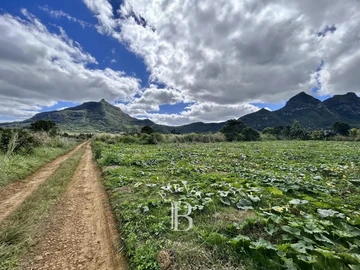 Agricultural Land