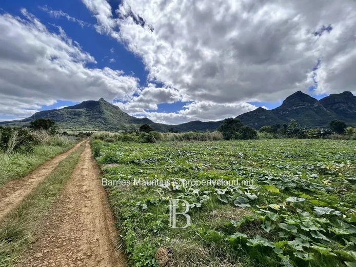 SAINT PIERRE - Agricultural land - 2,767 m²