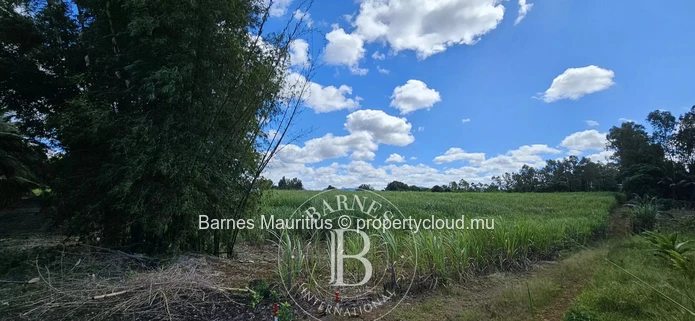 2 Bras - Agricultural Land - 31 Acres