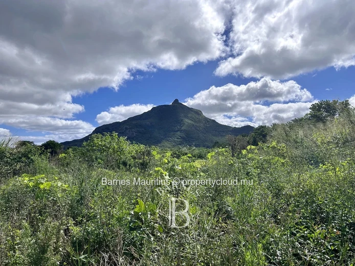 SAINT PIERRE - Agricultural land - 2,767 m²