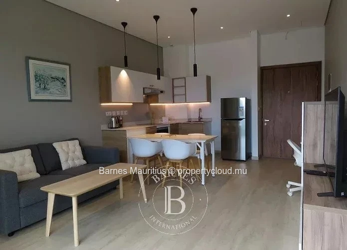 RÉDUIT - New penthouse with elevator - 1 bedroom