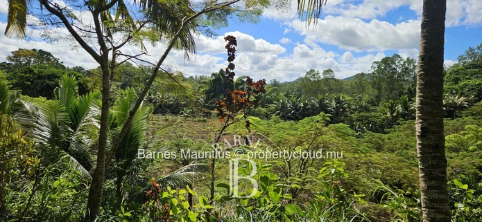 2 Bras - Agricultural Land - 31 Acres