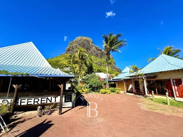 Commercial Property