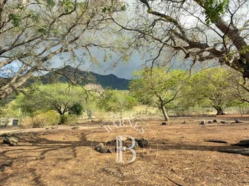 Residential Land