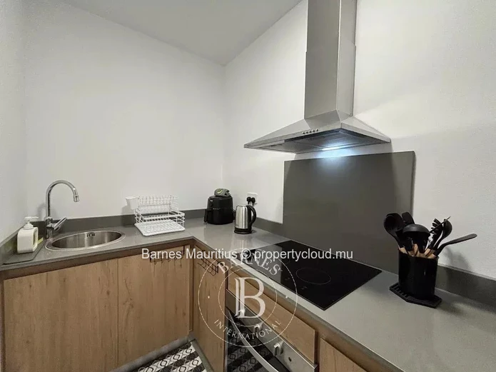 PHOENIX - Charming brand-new 1-bedroom apartment for rent.