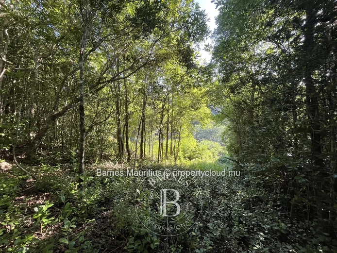 CHAMAREL - Agricultural Land - 10,276 m²