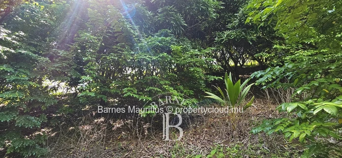 2 Bras - Agricultural Land - 31 Acres