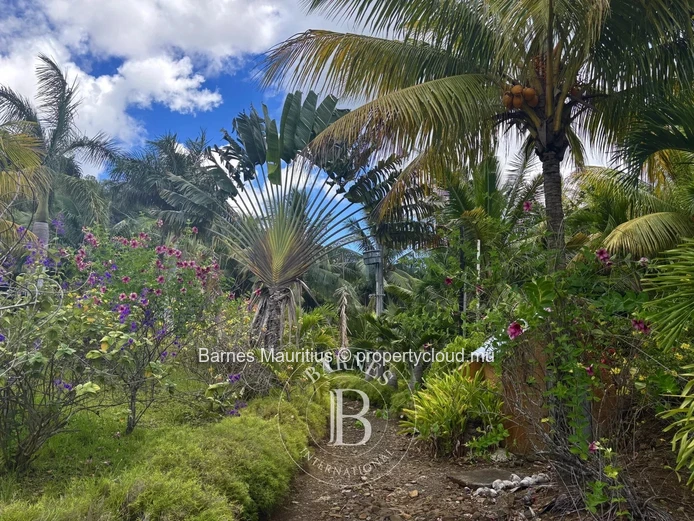 ANSE JONCHÉE - Terrain résidentiel et agricole - 46244 m2