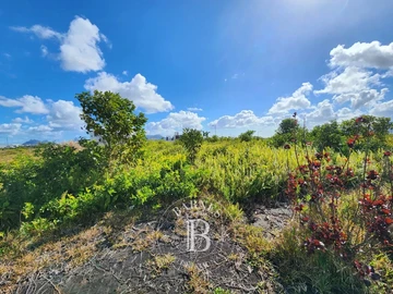 Residential Land