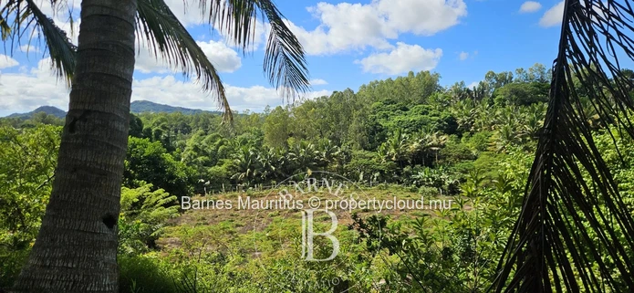 2 Bras - Agricultural Land - 31 Acres
