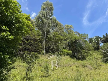 Agricultural Land