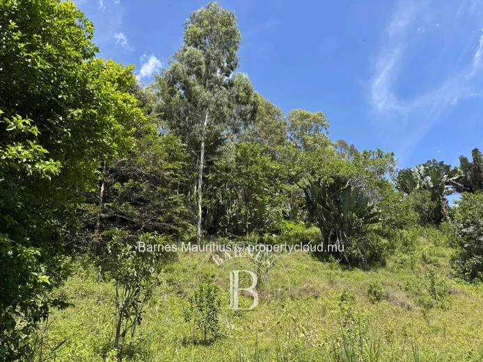 DEUX BRAS - Agricultural land - 2,1 arpents