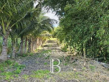 Terrain Agricole
