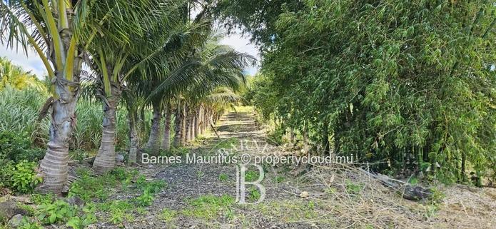 2 Bras - Agricultural Land - 31 Acres