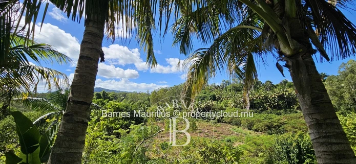 2 Bras - Agricultural Land - 31 Acres