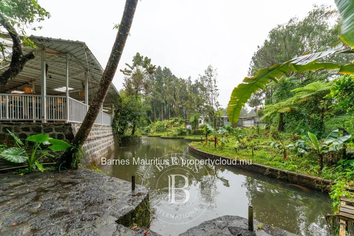 MARE LONGUE - Charming wooden chalets nestled in nature - 4220m²