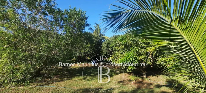 Daruty Forest- Plot For Sale.