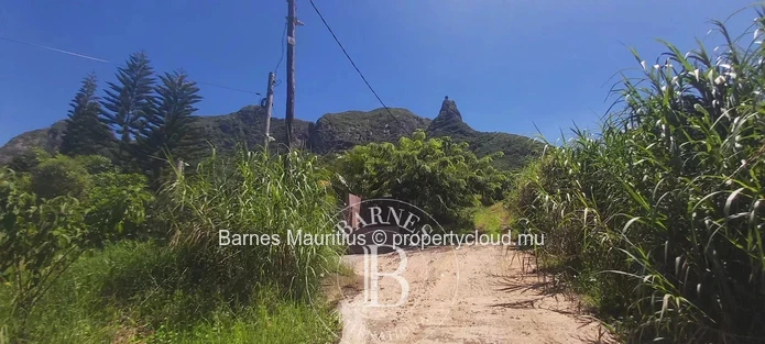 MOKA – Agricultural land with container home – 3,160 m²
